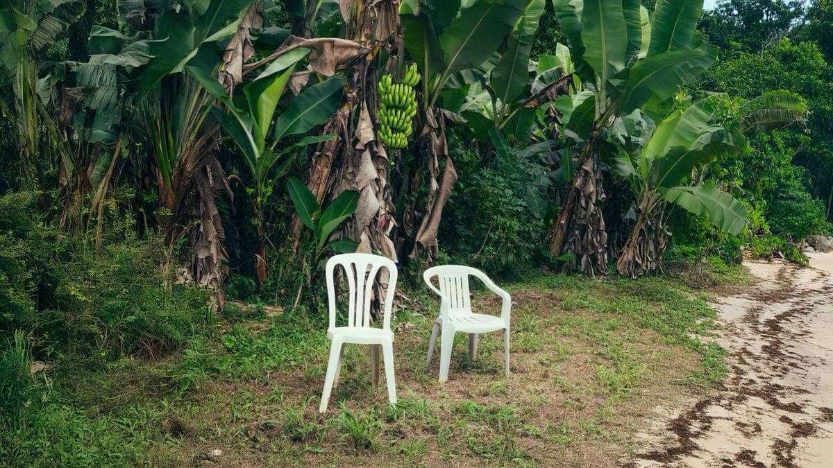 A casinha no meio do estádio.